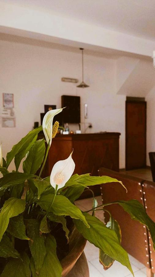 Hostal Tilian Salta Kültér fotó